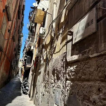 Apartment Hv Decumanus Naples