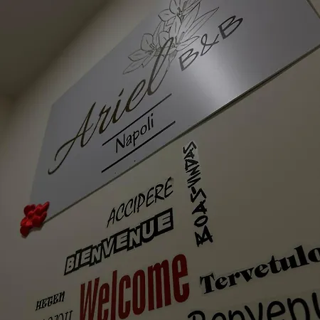 Ariel Alojamento de Acomodação e Pequeno-almoço
