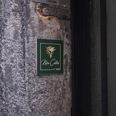 Appartamento Colibri A Piazza Dante *