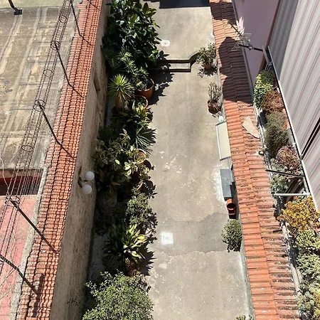 Familia Napoli