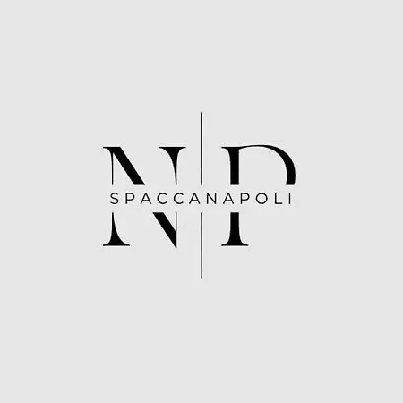 Guest house Np Spaccanapoli Naples