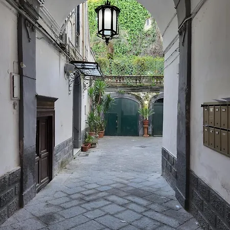 L'orchidea Al Museo In Centro Naples