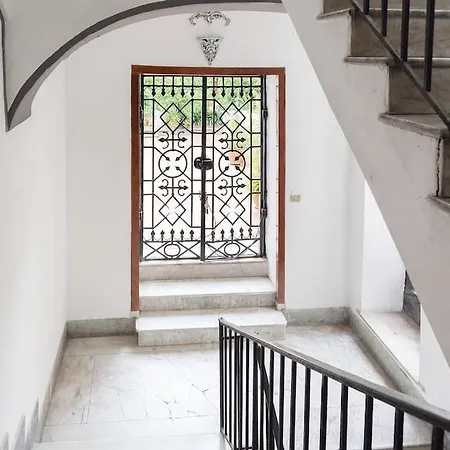 L'orchidea Al Museo In Centro