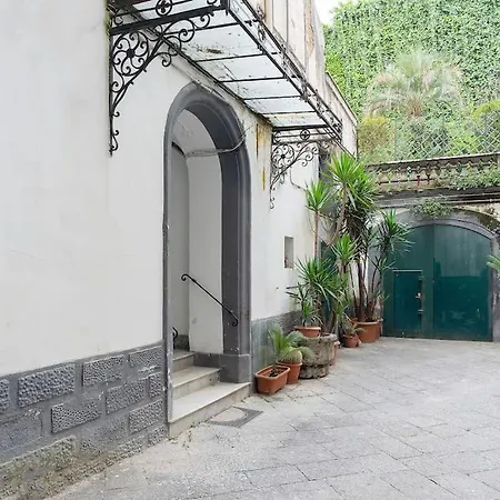 L'orchidea Al Museo In Centro