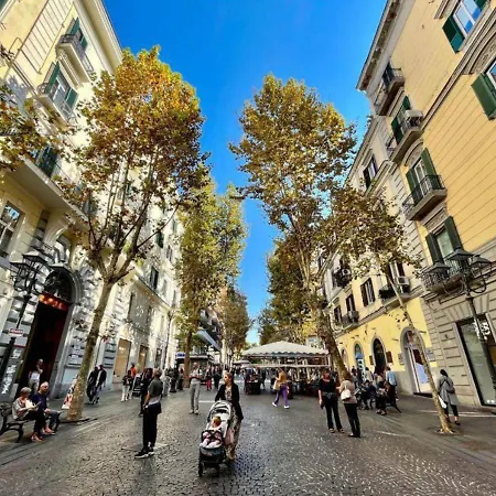 Vd Residential * Naples