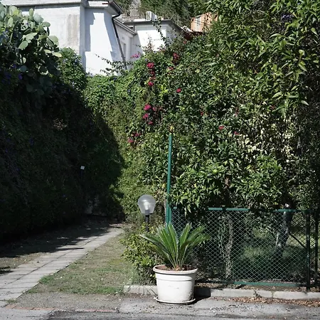 Petrarca Dream * Naples
