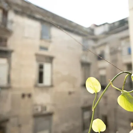 Apartment La Casa Sull'albero *