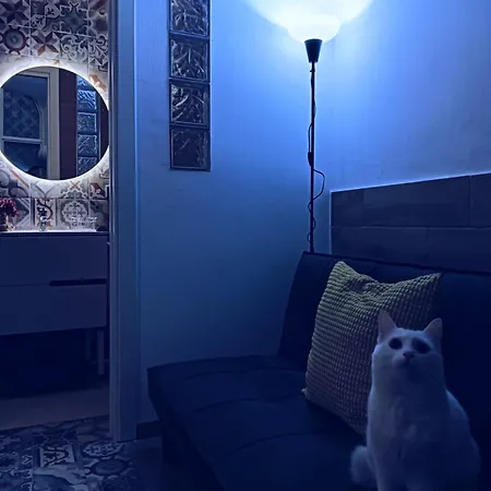 Feriehus The White Cat Napoli