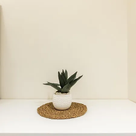 Appartamento Cozy Historical Flat *