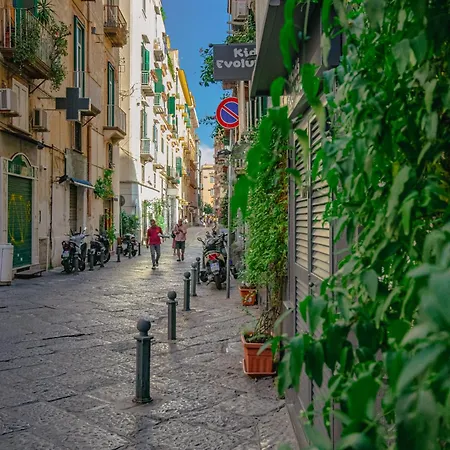 Guest house Andreia Neapolitan Naples