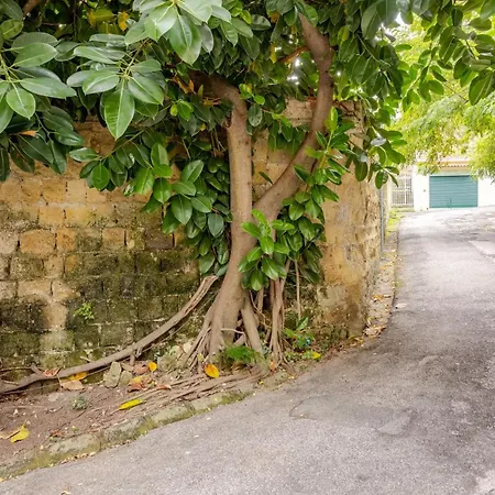 Crispi 74.1 - * Napoli