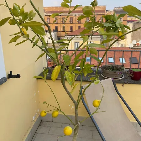 Apartment Attico Spaccanapoli Con Mega Terrazzo Naples