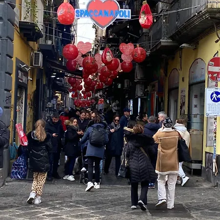 Civico 22 Silvestre Bed & Breakfast Naples
