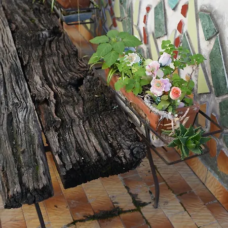 Apartment Centro Spaccanapoli