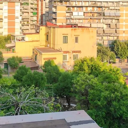 Tra I Giardini Della Scalinata Di San Gennaro * Naples
