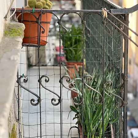 Bruno House Bed & Breakfast