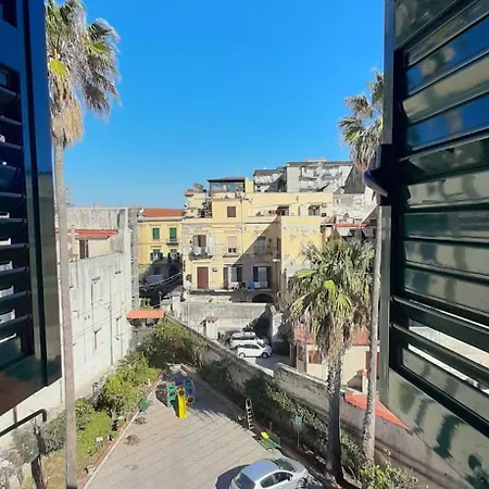 Pacis Naples