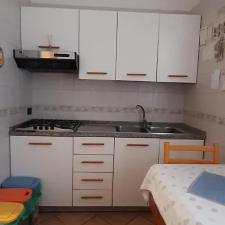 Pacis Naples