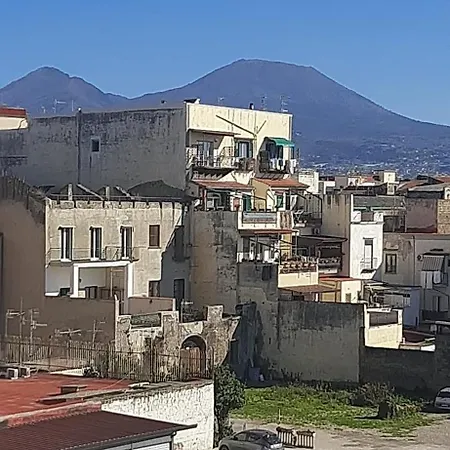 Pacis Naples