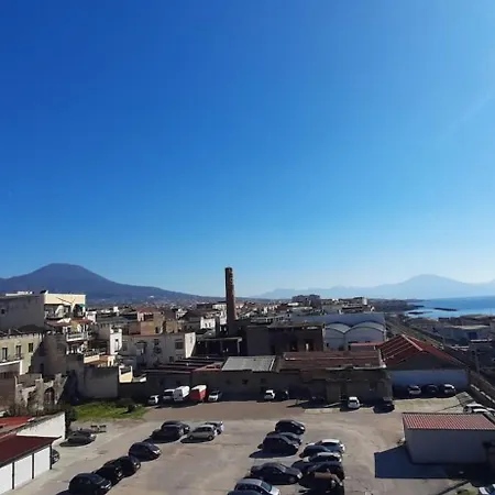 Pacis Naples