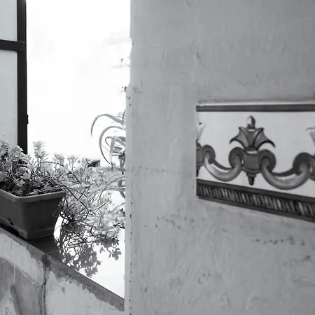 Terrazza Spaccanapoli Centro Storico Holiday home