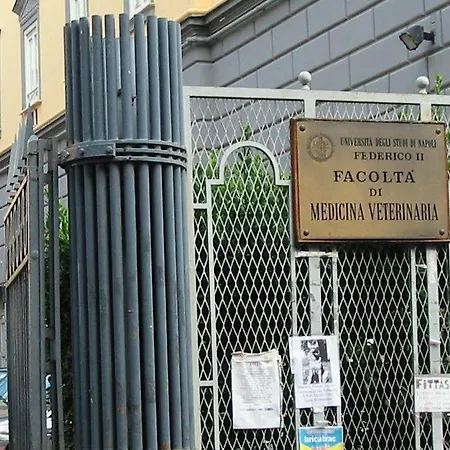 Le 3 Sorelle House * Naples