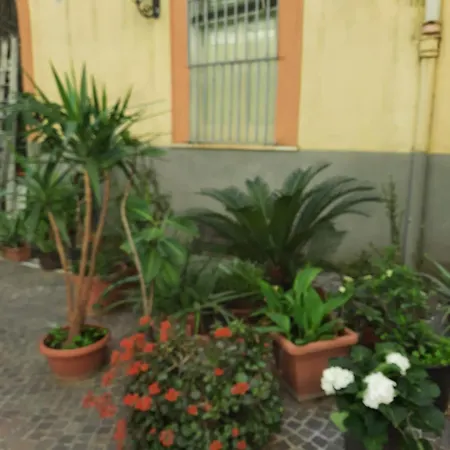 Apartment Ampio In Centro *