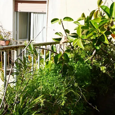 Centro Spaccanapoli Apartment Naples