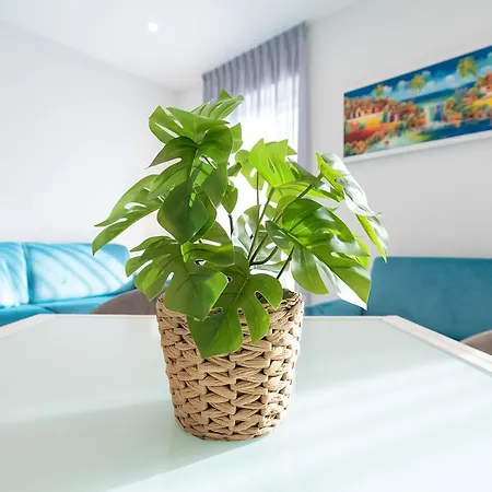 Apartment Luxury Lungomare *