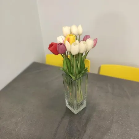 Zia Rose Apartment *