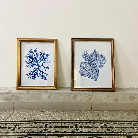 Apartman Le Vomero