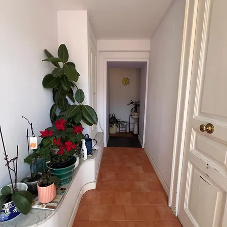 Appartamento Mini Domus Al Centro Storico Di