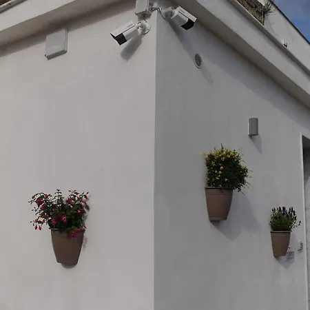 Vesuvio Capodichino Appartamento *