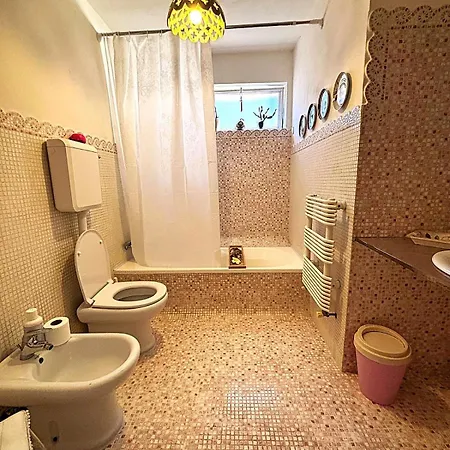 Acasamy Guest house