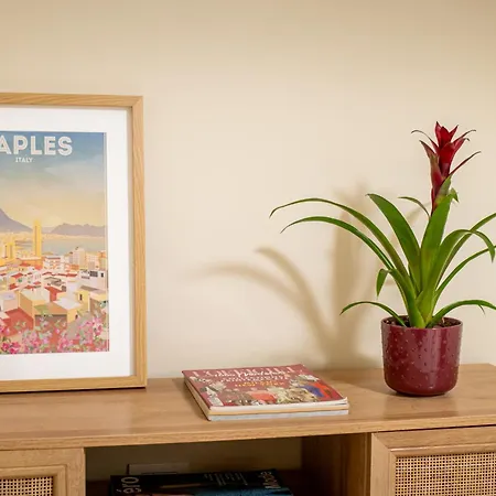 Apartment Les Maisons B Naples