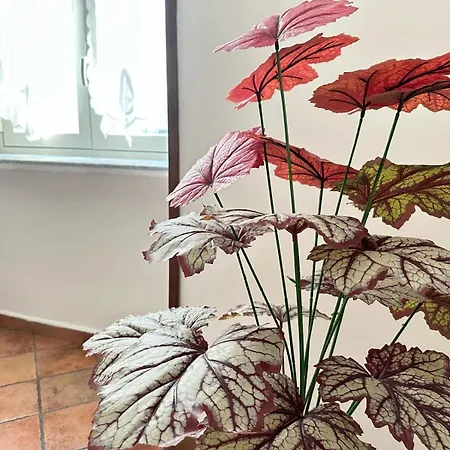 La Casa Di Linda Apartment