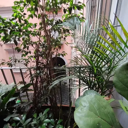 A Casa Di Clara Appartamento Napoli