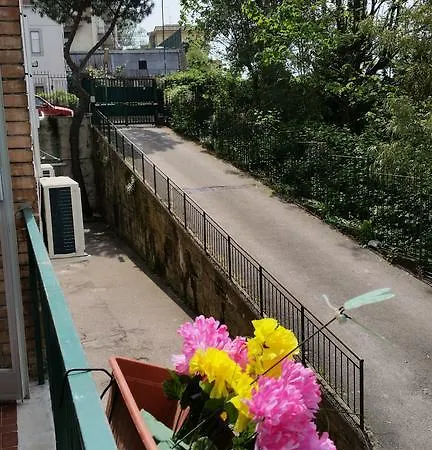 Il Sole Di *
