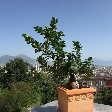 La Veduta 2* Napoli