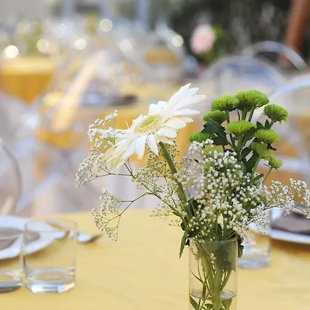 Hotel Hotel Naples Naples