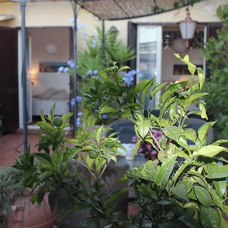 Terrazza Duomo Bed & Breakfast