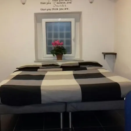 Flat Tribunali