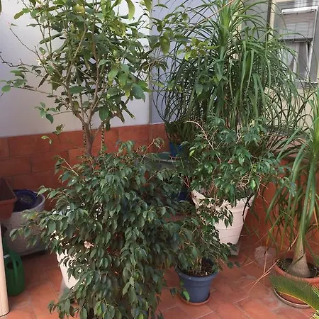 Appartamento Casa Bianchini
