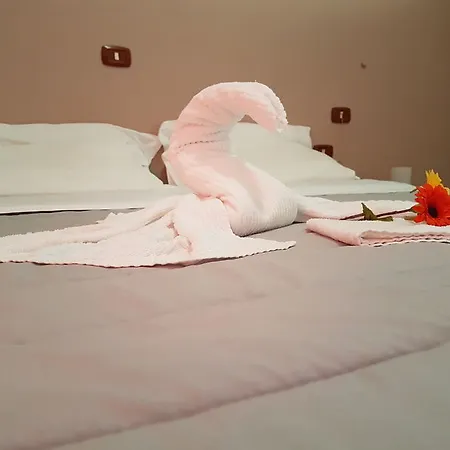 Le Orchidee
