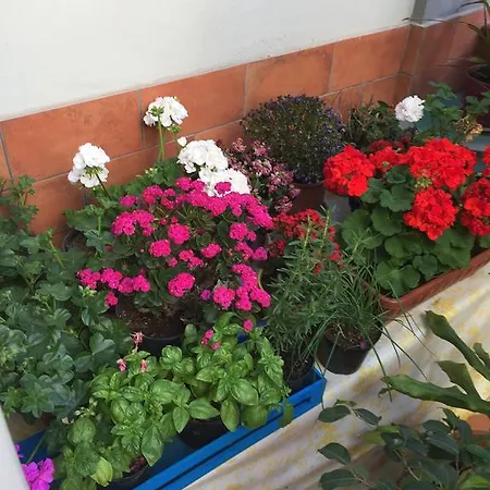 Appartamento Casa Bianchini *