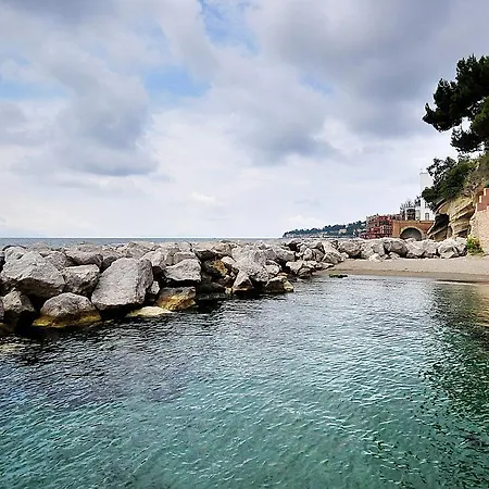 Frisia Naples