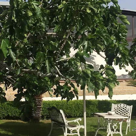 Zia Bi Bed & Breakfast Napoli