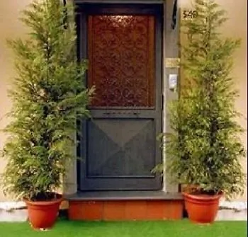 La Storia Di Bed & Breakfast