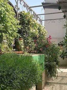 Cerasiello 2* Napoli