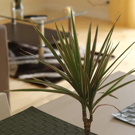 Bed & Breakfast La Torretta Chiaia 3*